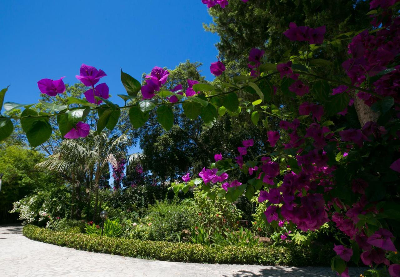 Villa Pampalone - B&B In Dimora Storica Trapani Ngoại thất bức ảnh