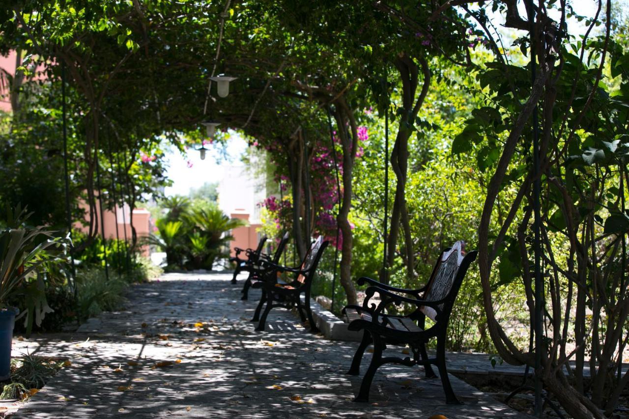 Villa Pampalone - B&B In Dimora Storica Trapani Ngoại thất bức ảnh
