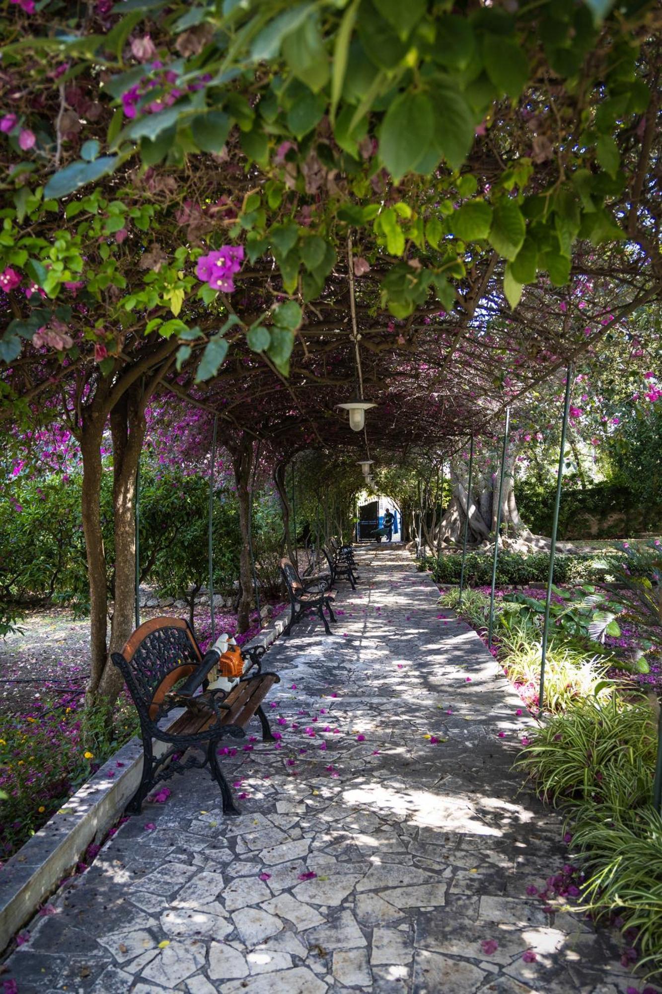 Villa Pampalone - B&B In Dimora Storica Trapani Ngoại thất bức ảnh